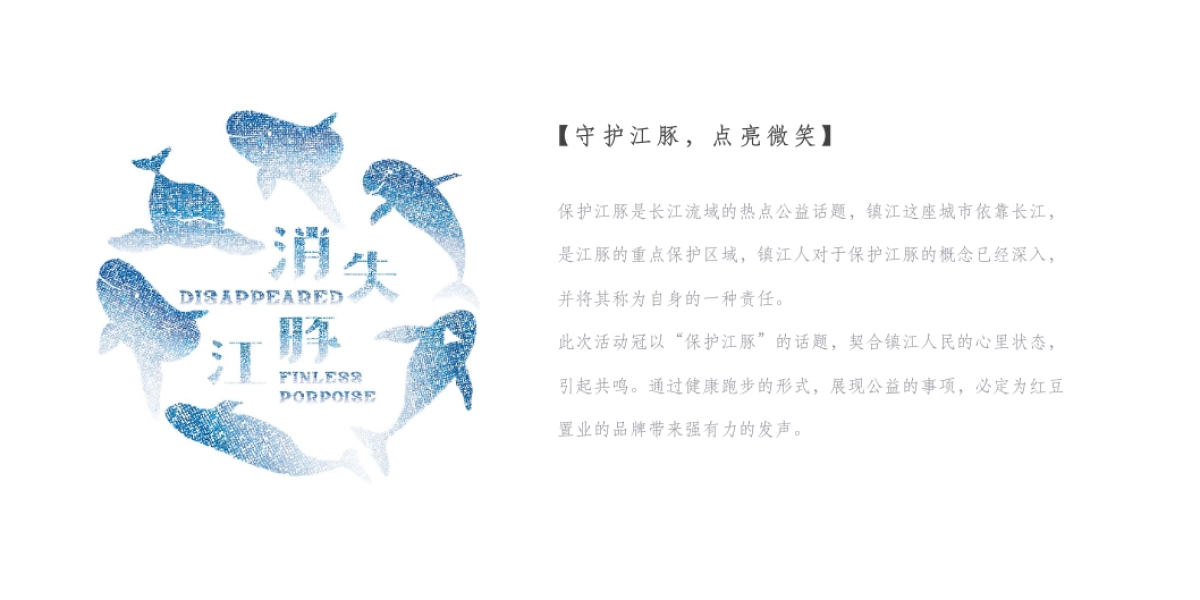 2019年红豆置业环湖公益跑策划方案 _第3页