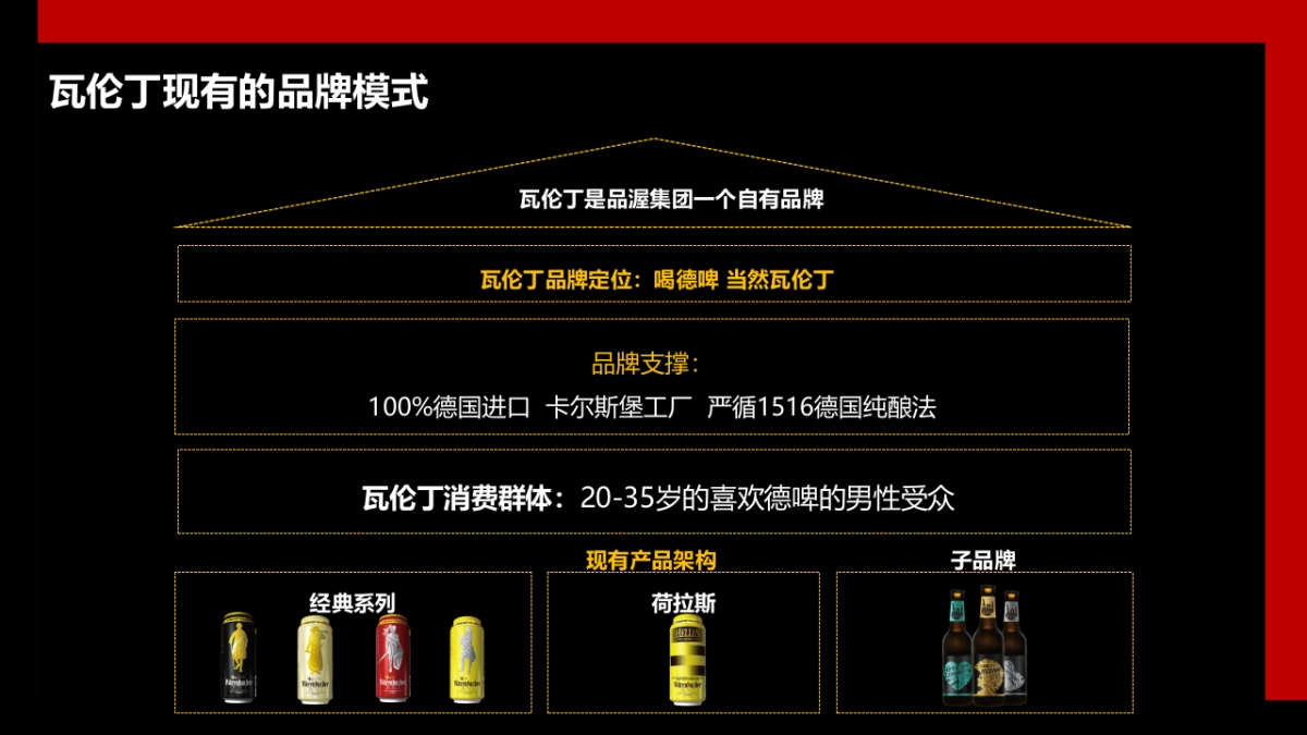 2019瓦伦丁品牌战略规划_第9页