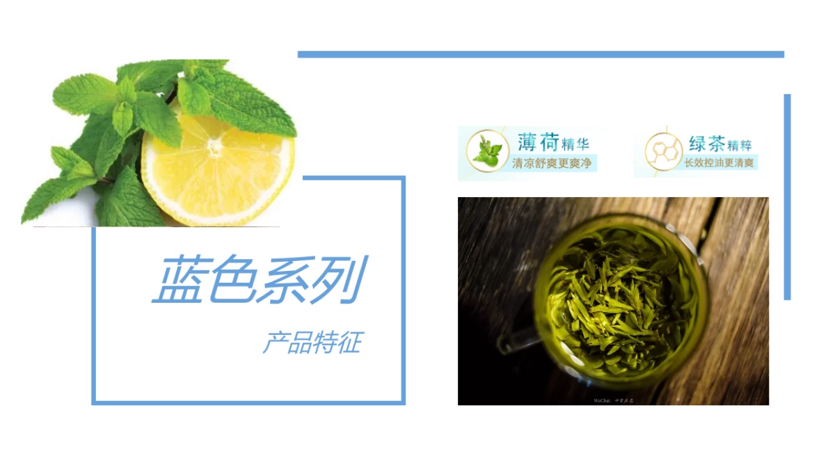 2020洗护品牌新品上市清爽路演（闪耀秀发  清爽一夏主题）活动策划方案-44P_第3页