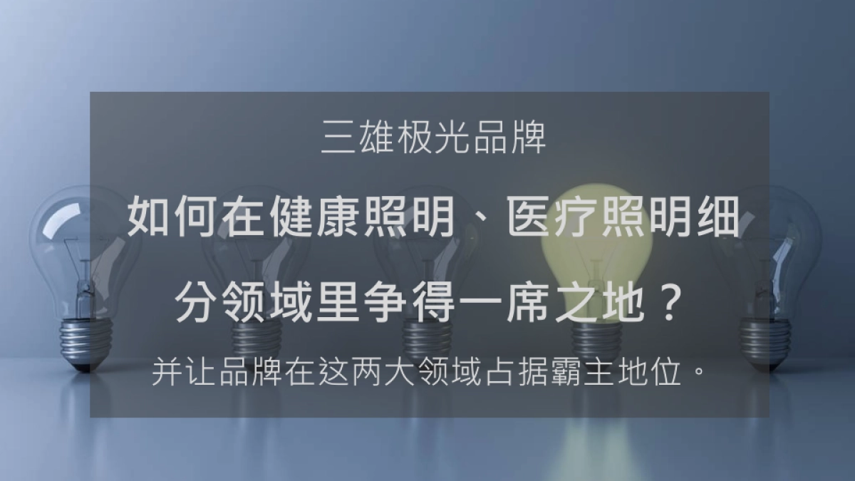 2021三雄极光灯具照明品牌&新浪家居策划方案_第8页