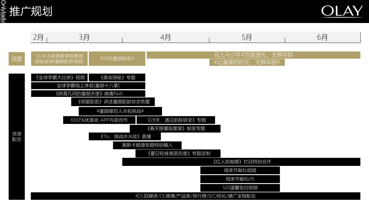 化妆品牌Onlylady&OLAY--MAMJ-Media Plan主题活动策划方案_第5页