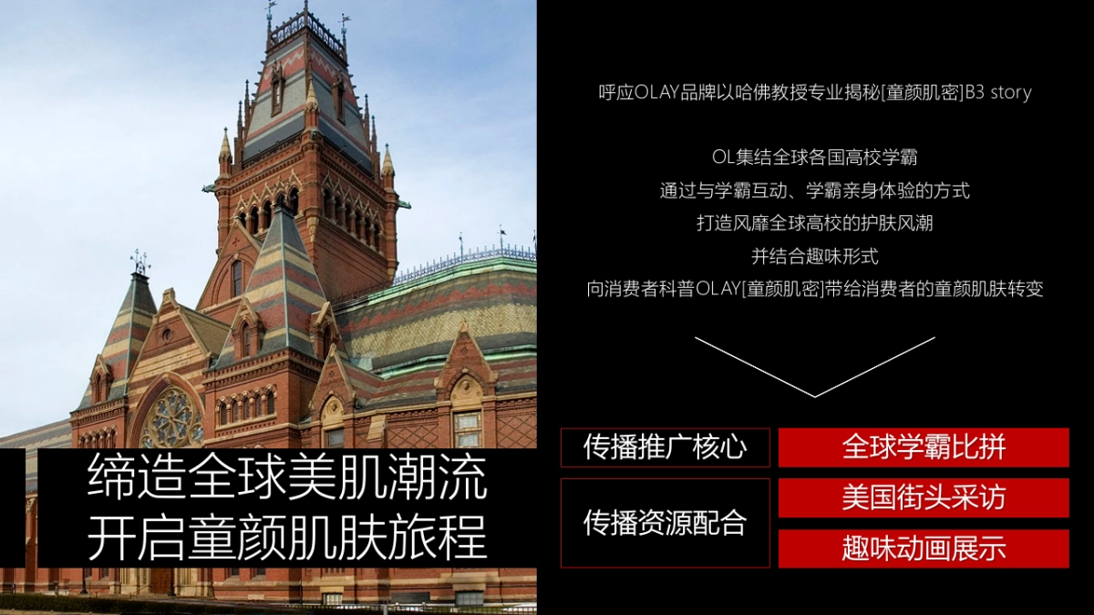 化妆品牌Onlylady&OLAY--MAMJ-Media Plan主题活动策划方案_第6页