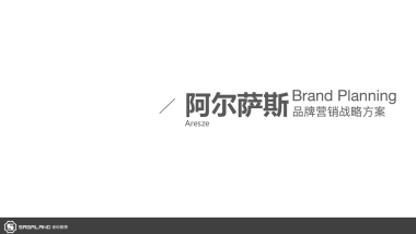 Aresze 品牌焕新战略方案