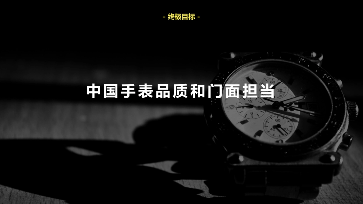 CM手表品牌行销策略提报_第10页