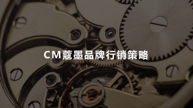 CM手表品牌行销策略提报