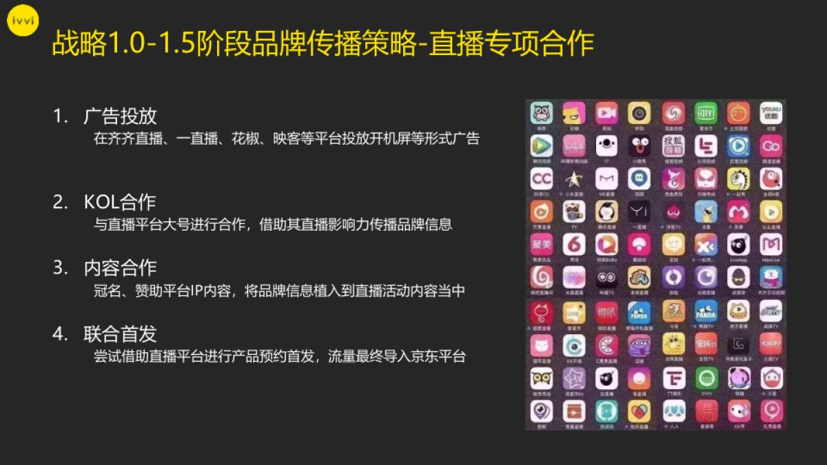 ivvi品牌战略规划_第10页