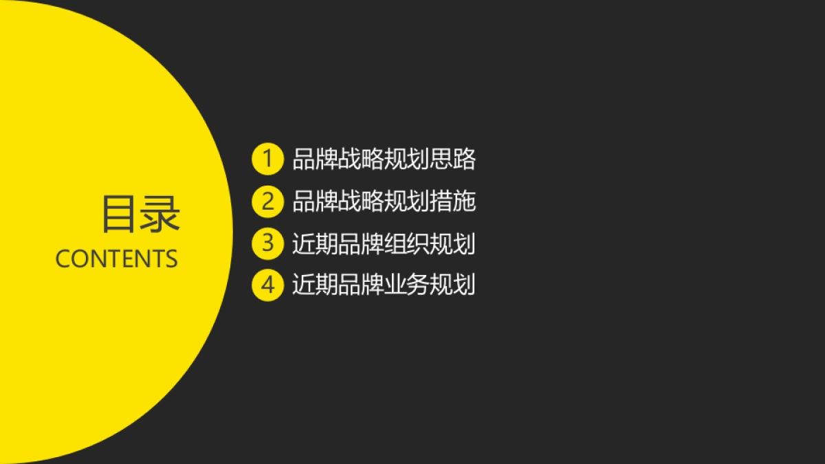 ivvi品牌战略规划_第2页