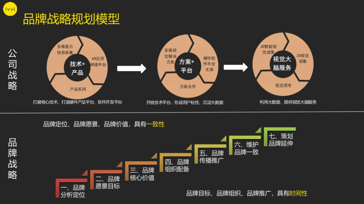 ivvi品牌战略规划_第3页