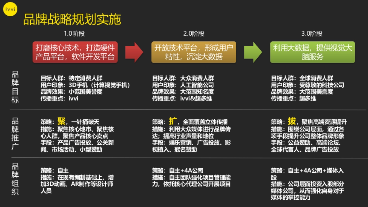 ivvi品牌战略规划_第5页
