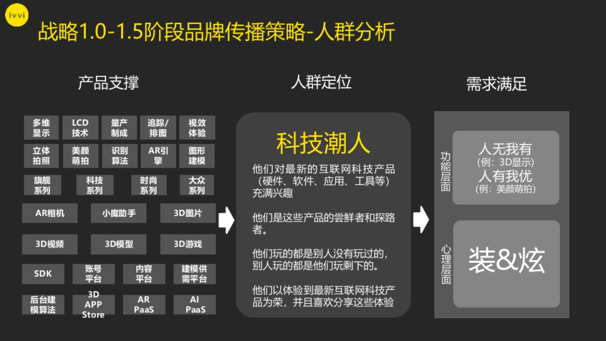 ivvi品牌战略规划_第6页