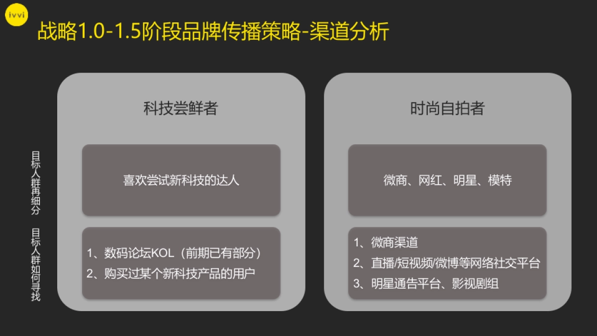 ivvi品牌战略规划_第7页