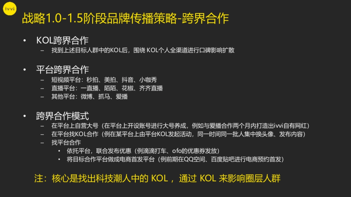 ivvi品牌战略规划_第8页