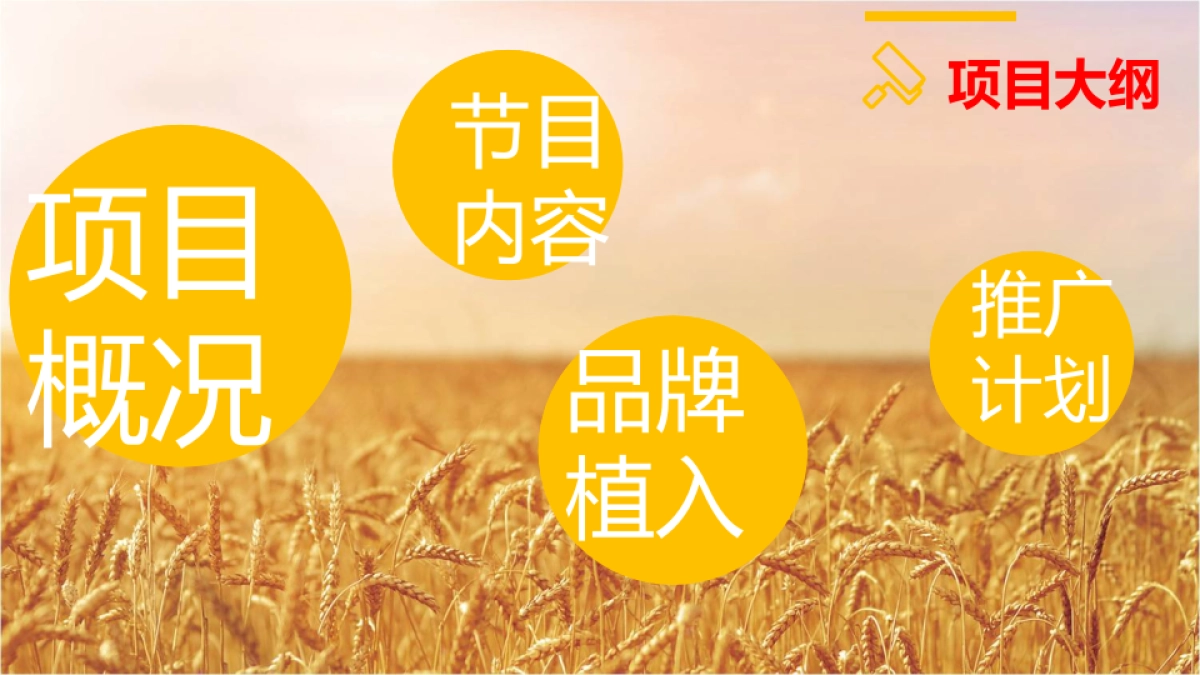 Master威廉+味宾堡策划_第2页