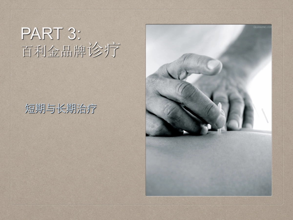 百利金品牌诊断书- 珠宝首饰_第10页