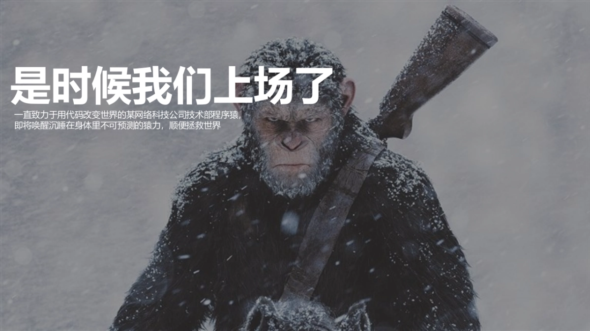 程序猿节策划方案_第3页