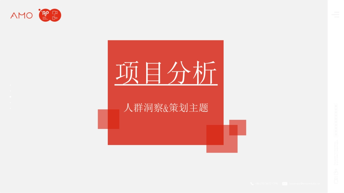 当妮洗衣液快手电商策划方案_第3页