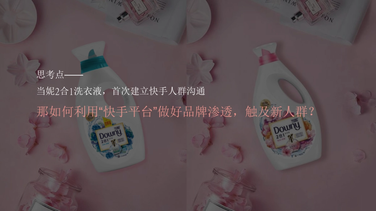 当妮洗衣液快手电商策划方案_第4页