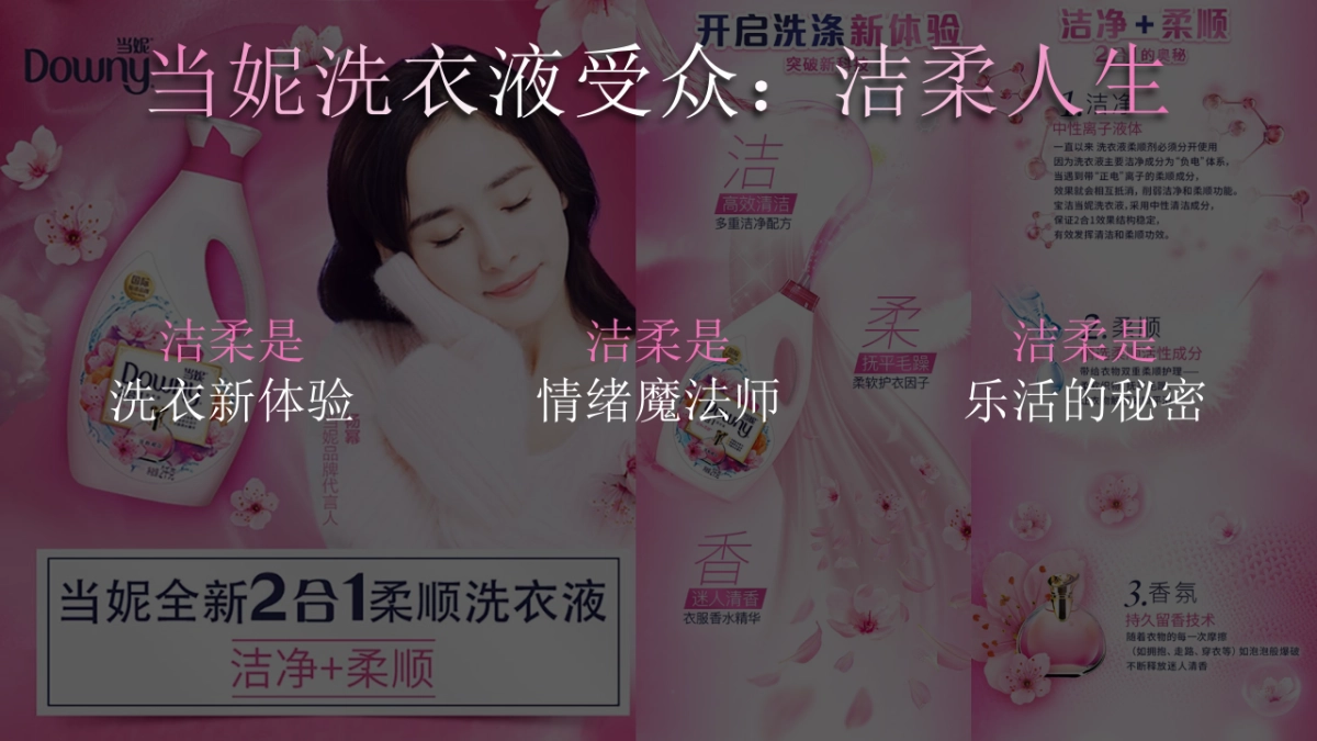 当妮洗衣液快手电商策划方案_第5页