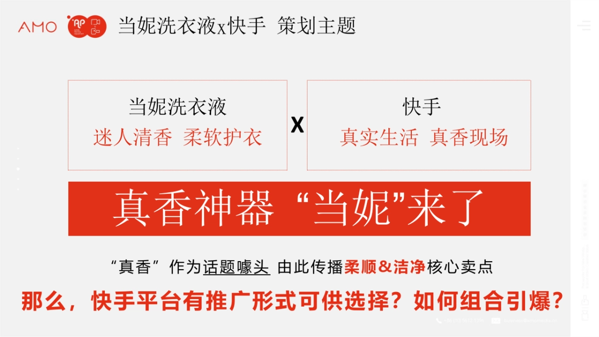当妮洗衣液快手电商策划方案_第8页