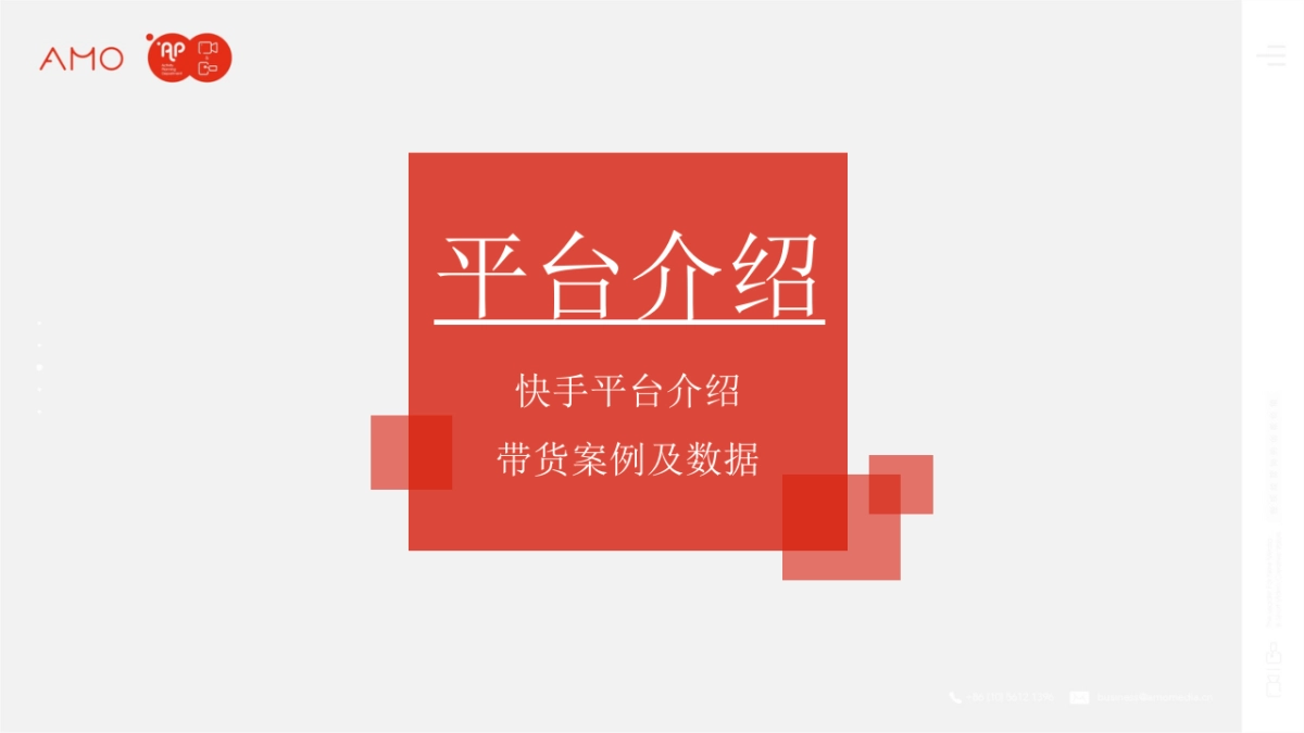 当妮洗衣液快手电商策划方案_第9页