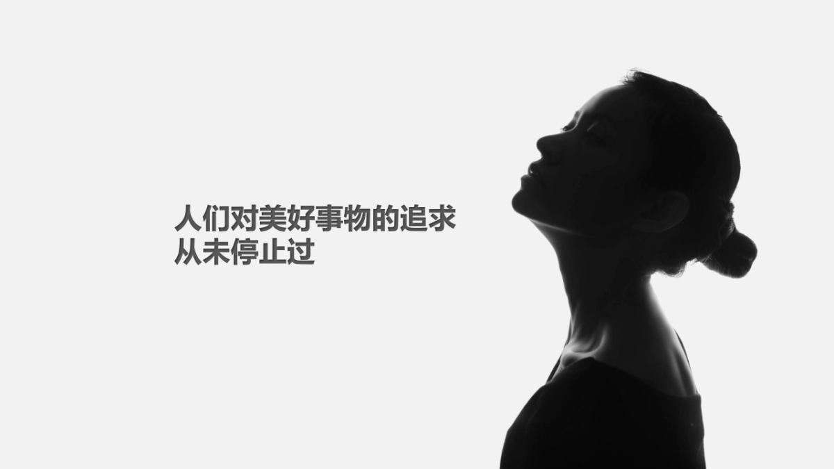 公司宣传视频策划_第2页