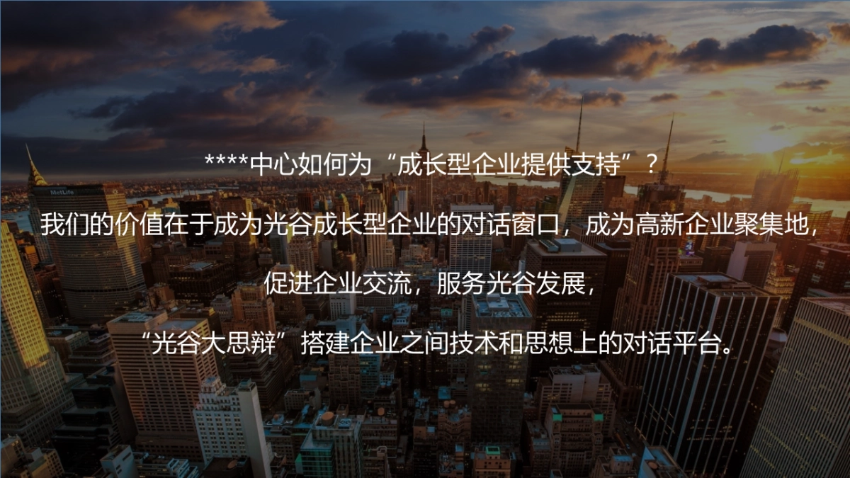 光谷企业家大思辩光谷大智斗策划案_第6页