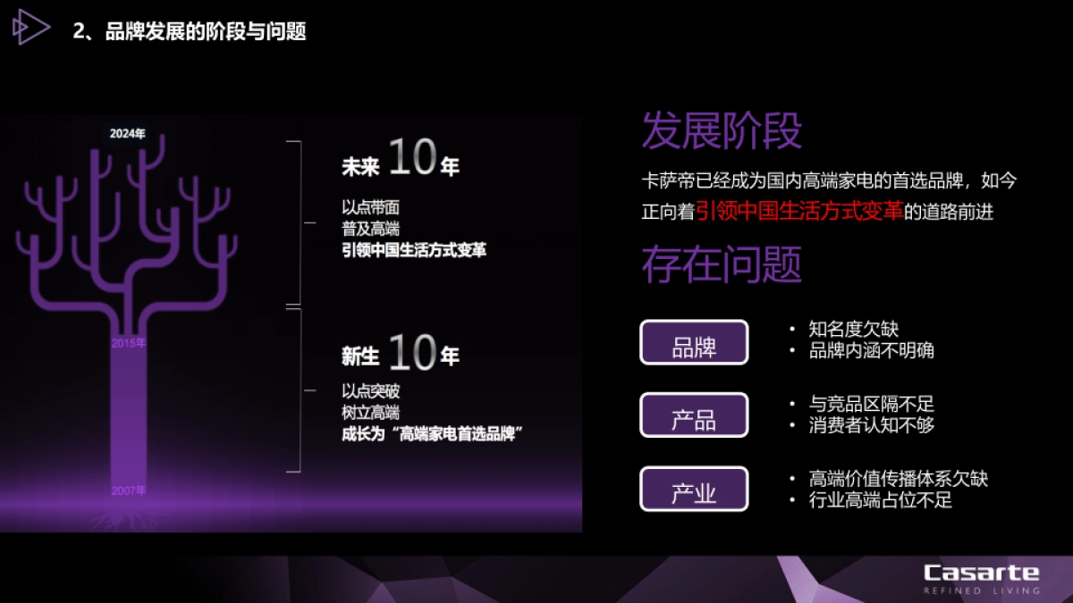 海尔高端品牌卡萨帝品牌策略方针论证四情分析_第10页