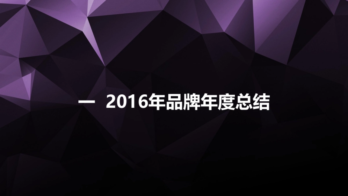 海尔高端品牌卡萨帝品牌策略方针论证四情分析_第2页