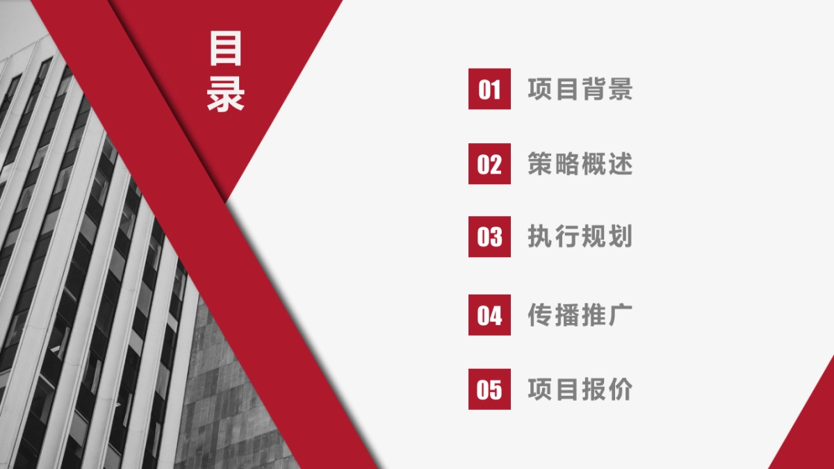 新中源住工2021年新浪家居策划案_第2页