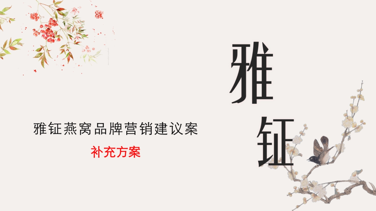 雅钲品牌营销建议案补充方案_第2页