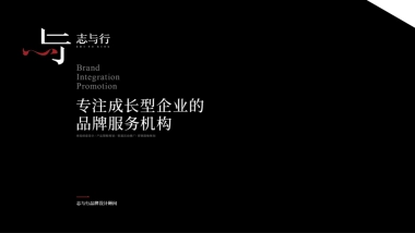 雅钲品牌营销建议案补充方案