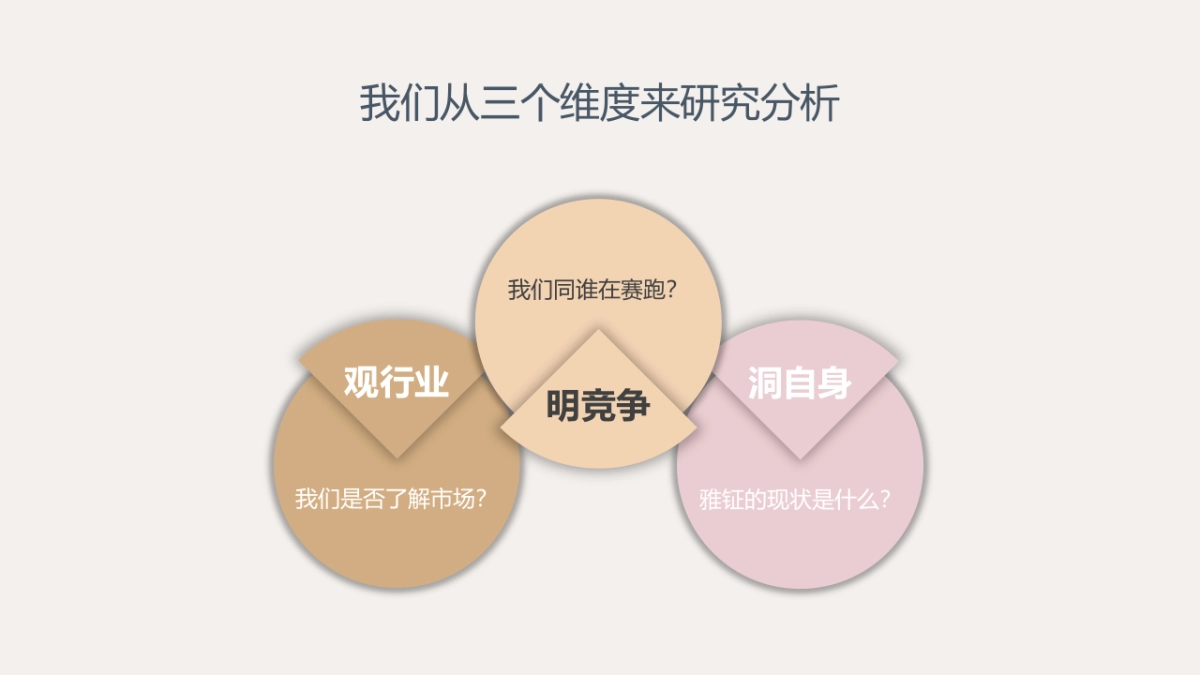 雅钲燕窝品牌营销建议案_第10页