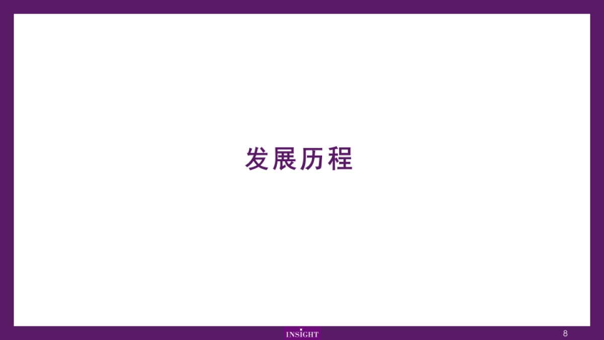 洋河品牌整理_第8页