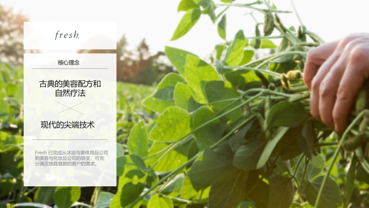 一叶子旗舰店品牌交流_第6页