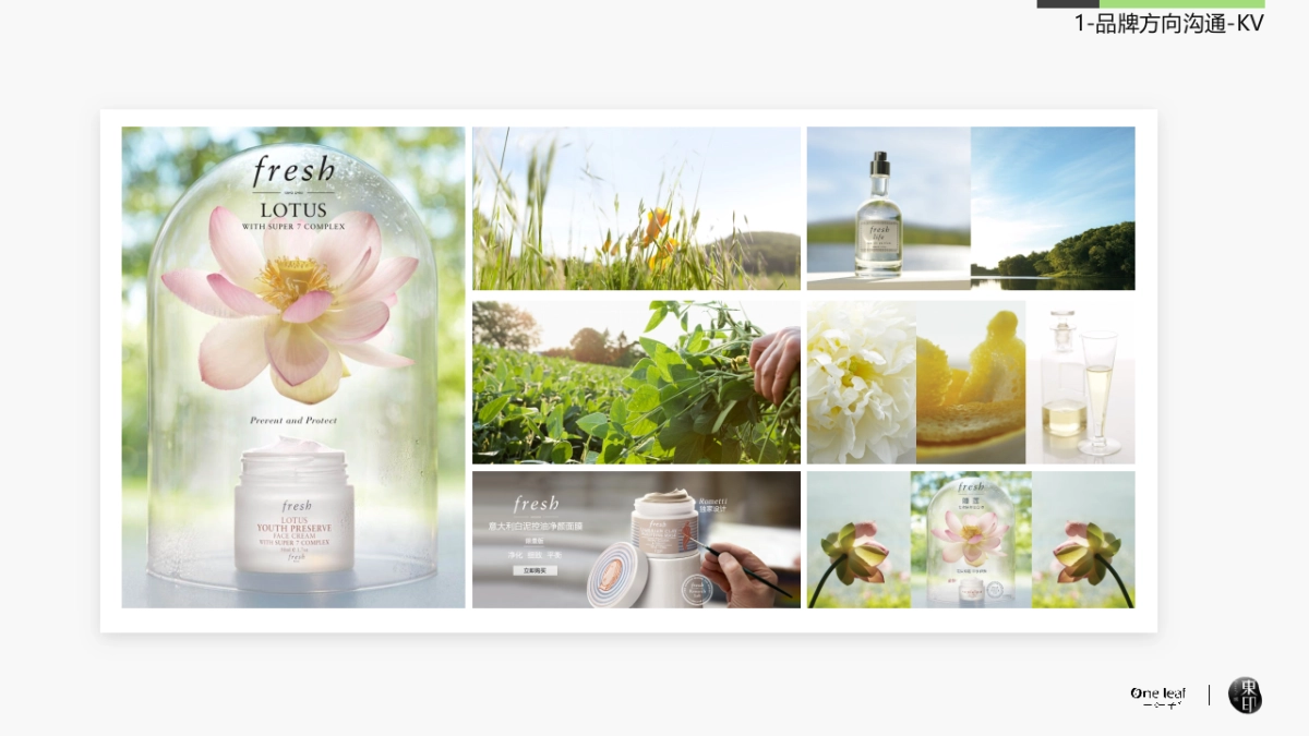 一叶子旗舰店品牌交流_第7页
