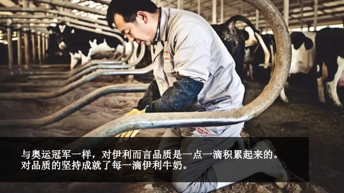 伊利母品牌社会化营销第三轮提报_第10页