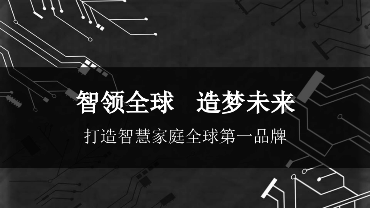 家居品牌传播营销活动策划方案_第2页