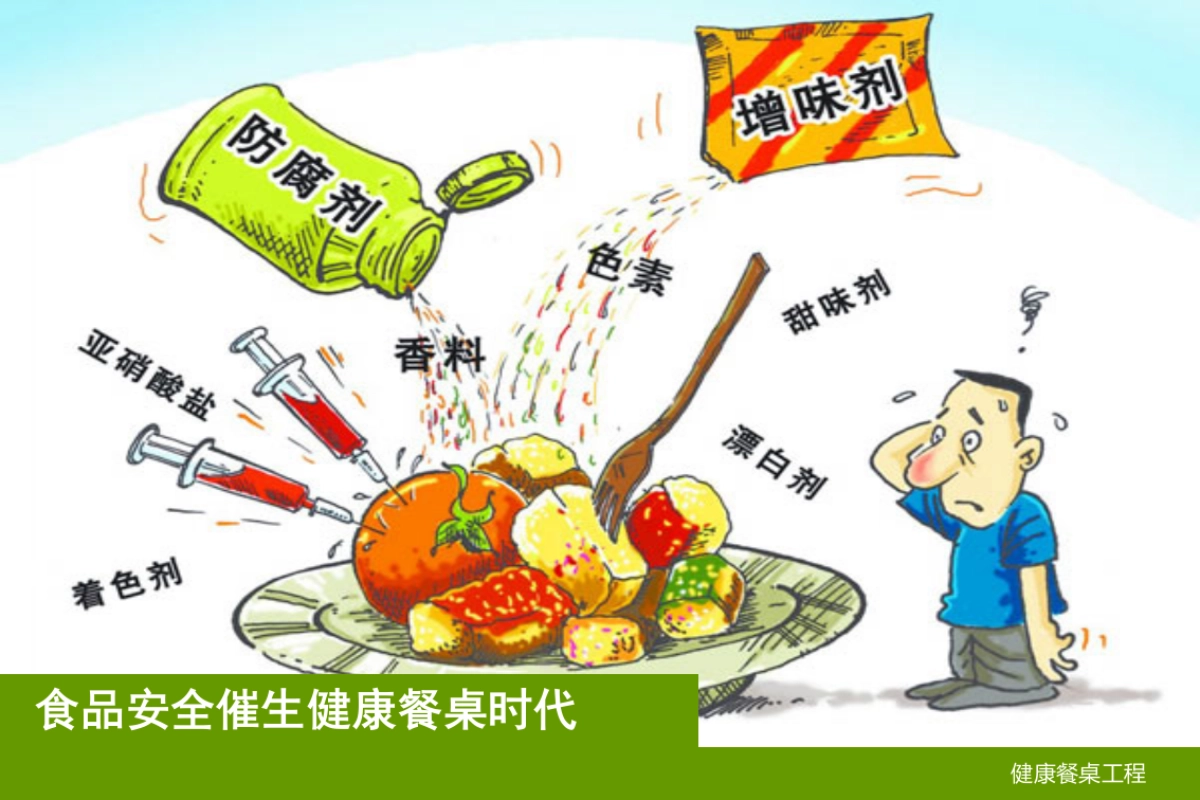 健康餐桌品牌营销战略规划_第3页