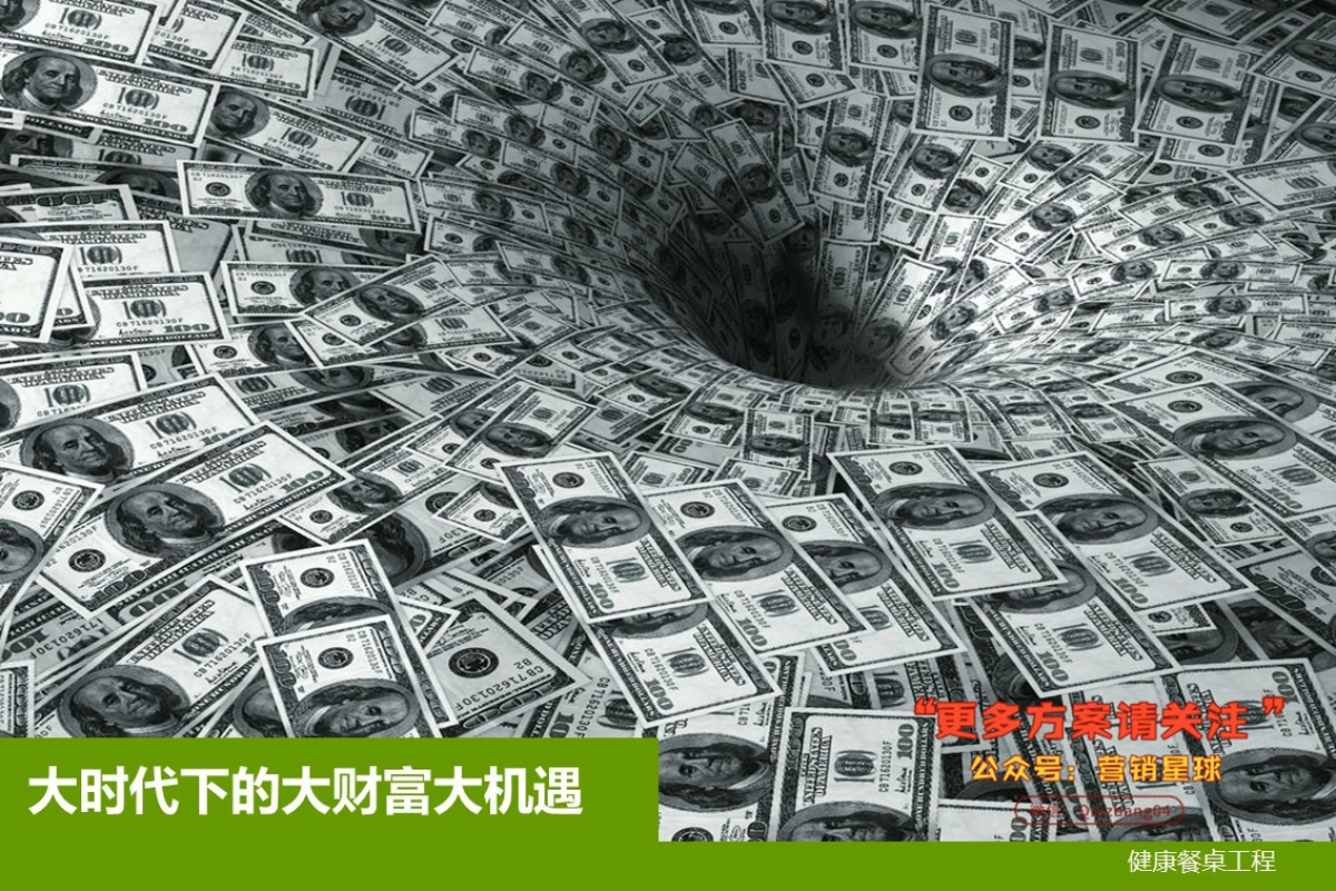 健康餐桌品牌营销战略规划_第4页