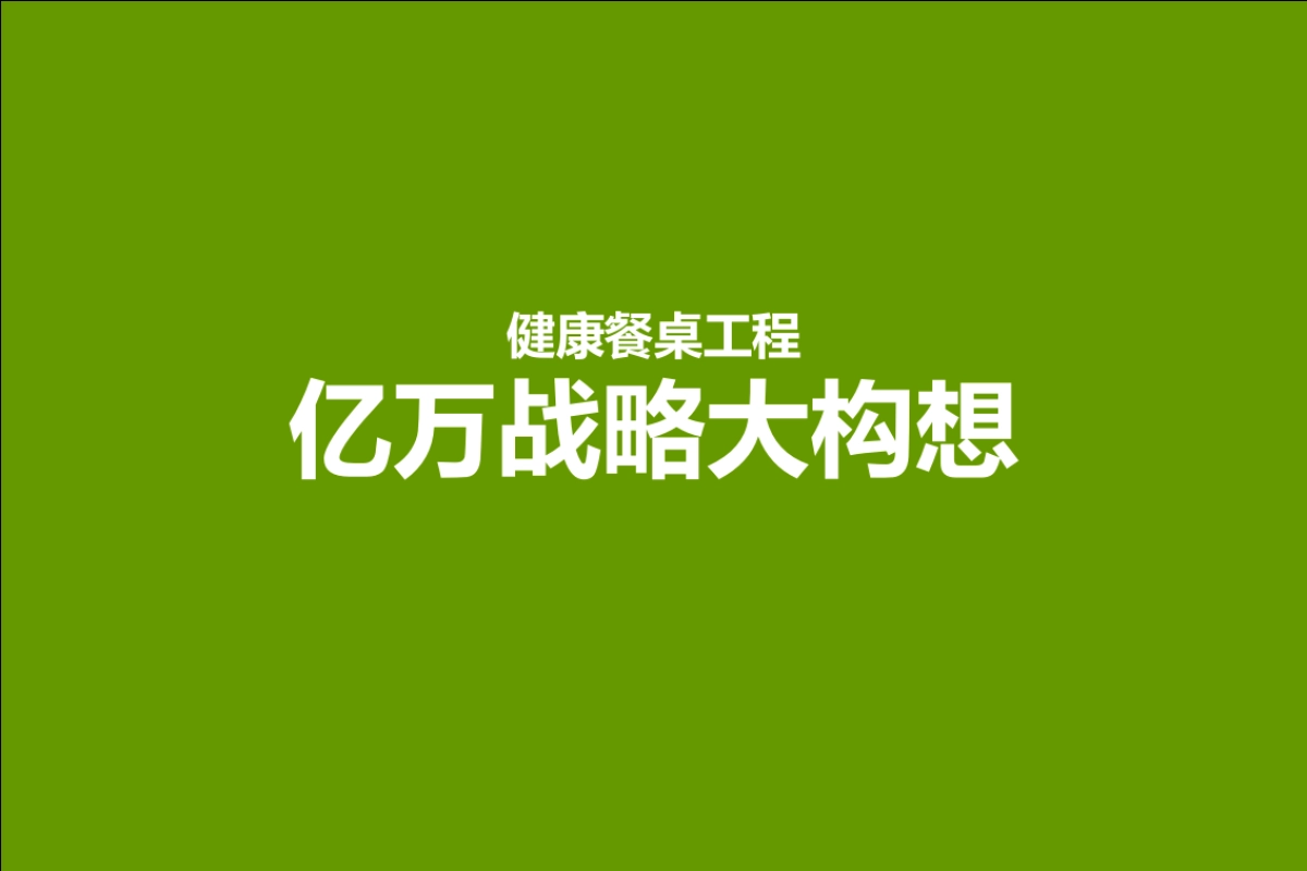 健康餐桌品牌营销战略规划_第5页