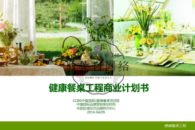健康餐桌品牌营销战略规划