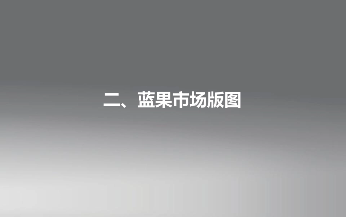 蓝果品牌介绍2016_第10页