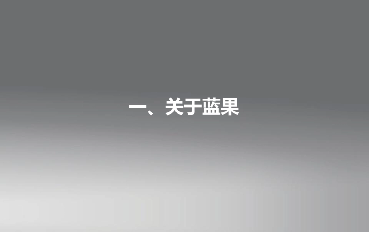 蓝果品牌介绍2016_第4页