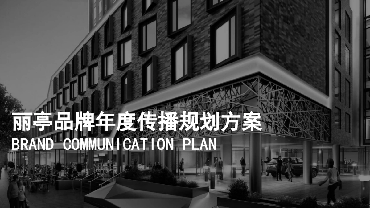 丽婷酒店品牌年度规划方案_第1页