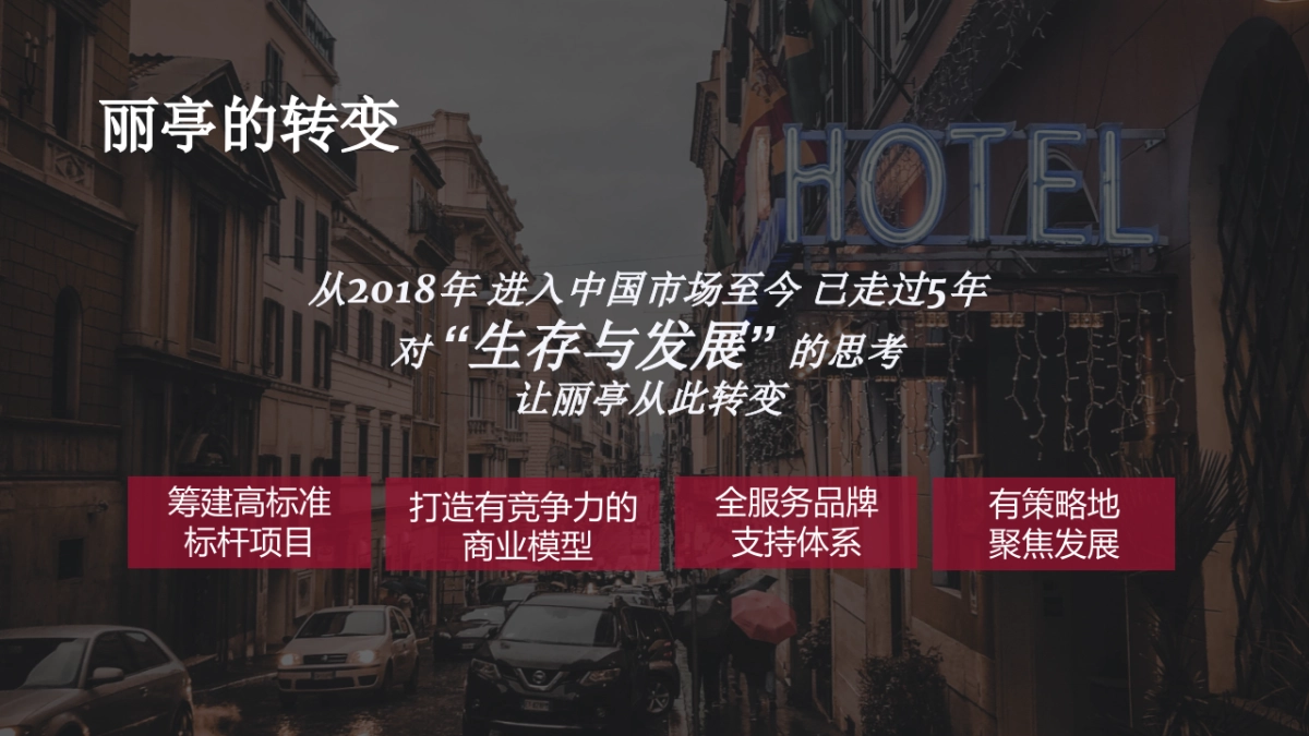 丽婷酒店品牌年度规划方案_第4页