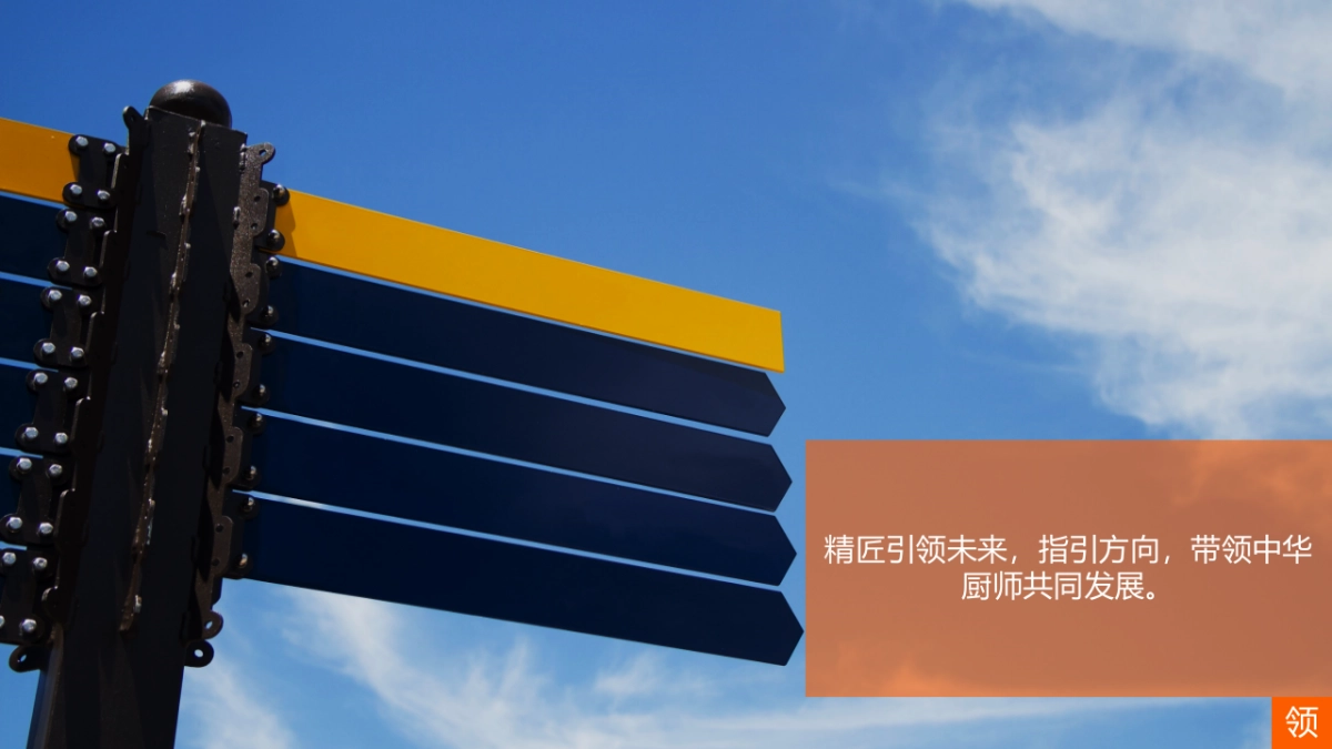 联合利华餐饮策划最具影响力大厨方案_第8页