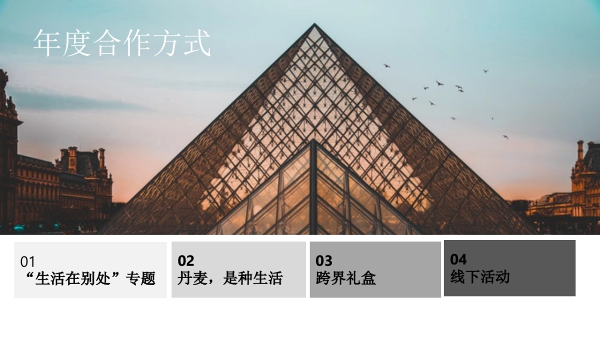 玛丝菲尔XLOHAS媒体策划案_第4页