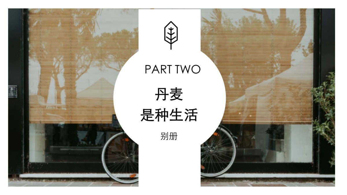 玛丝菲尔XLOHAS媒体策划案_第8页