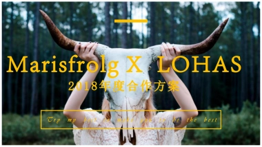 玛丝菲尔XLOHAS媒体策划案