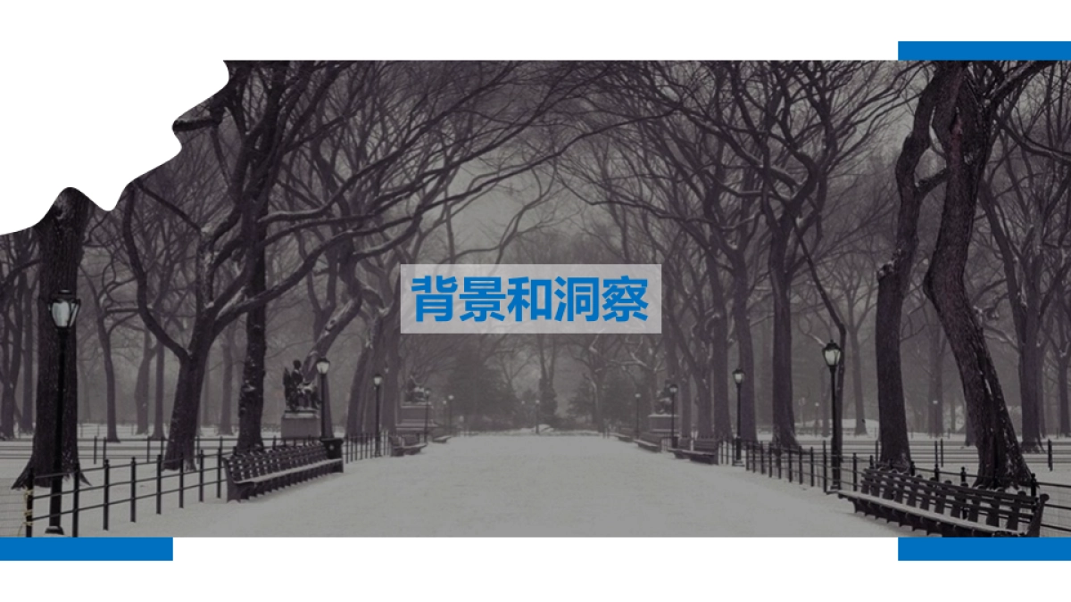 脉动冬季瓶身互动策划方案_第3页